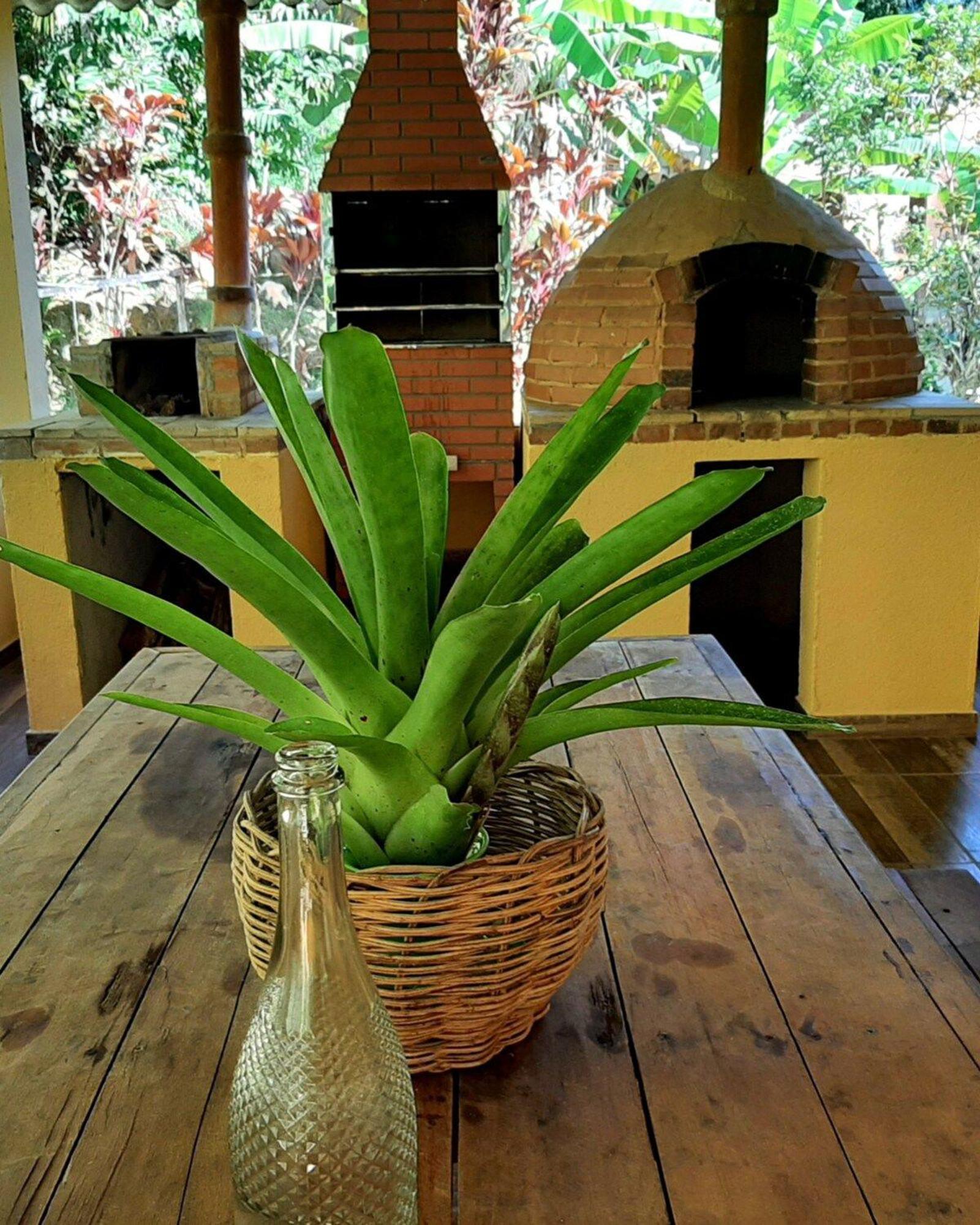 Casa Da Ilha Paraty Entre A Mata Atlantica E O Mar别墅 外观 照片